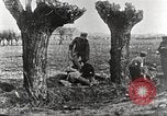 Image of German Red Cross dogs France, 1916, second 47 stock footage video 65675066059