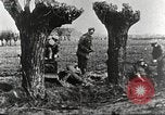 Image of German Red Cross dogs France, 1916, second 48 stock footage video 65675066059