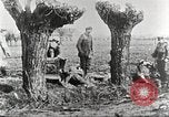 Image of German Red Cross dogs France, 1916, second 49 stock footage video 65675066059