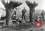 Image of German Red Cross dogs France, 1916, second 50 stock footage video 65675066059