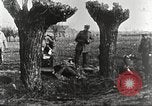 Image of German Red Cross dogs France, 1916, second 51 stock footage video 65675066059