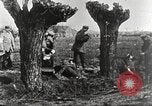 Image of German Red Cross dogs France, 1916, second 52 stock footage video 65675066059