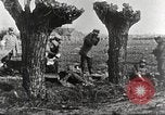 Image of German Red Cross dogs France, 1916, second 53 stock footage video 65675066059