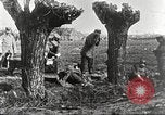 Image of German Red Cross dogs France, 1916, second 54 stock footage video 65675066059