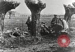 Image of German Red Cross dogs France, 1916, second 55 stock footage video 65675066059