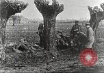 Image of German Red Cross dogs France, 1916, second 56 stock footage video 65675066059
