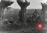 Image of German Red Cross dogs France, 1916, second 57 stock footage video 65675066059