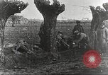 Image of German Red Cross dogs France, 1916, second 58 stock footage video 65675066059