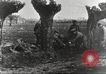 Image of German Red Cross dogs France, 1916, second 59 stock footage video 65675066059