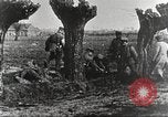Image of German Red Cross dogs France, 1916, second 60 stock footage video 65675066059