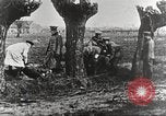 Image of German Red Cross dogs France, 1916, second 61 stock footage video 65675066059