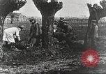 Image of German Red Cross dogs France, 1916, second 62 stock footage video 65675066059
