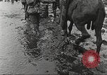 Image of British soldiers in muddy battle in World War 1 France, 1916, second 30 stock footage video 65675066066