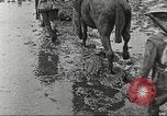 Image of British soldiers in muddy battle in World War 1 France, 1916, second 31 stock footage video 65675066066