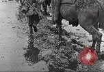 Image of British soldiers in muddy battle in World War 1 France, 1916, second 35 stock footage video 65675066066