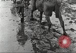 Image of British soldiers in muddy battle in World War 1 France, 1916, second 36 stock footage video 65675066066