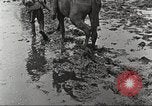 Image of British soldiers in muddy battle in World War 1 France, 1916, second 37 stock footage video 65675066066