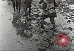 Image of British soldiers in muddy battle in World War 1 France, 1916, second 39 stock footage video 65675066066