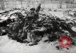 Standbild tot Sowjets Sowjetunion, 1943, aus Sekunde 4 historischem Filmmaterial Videoclip 65675066078