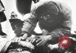 Standbild tot Sowjets Sowjetunion, 1943, aus Sekunde 17 historischem Filmmaterial Videoclip 65675066078