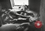 Standbild tot Sowjets Sowjetunion, 1943, aus Sekunde 33 historischem Filmmaterial Videoclip 65675066078