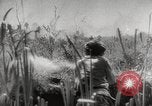 Standbild sowjetischen Soldaten Sowjetunion, 1943, aus Sekunde 3 historischem Filmmaterial Videoclip 65675066079