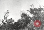 Standbild German Air Raid Leningrad Russland Sowjetunion, 1943, aus Sekunde 48 historischem Filmmaterial Videoclip 65675066081