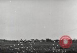 Image of C-47 United States USA, 1938, second 34 stock footage video 65675066090