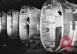 Image Usine de production d'avions B-24 Michigan United States USA, 1944, de la seconde 48 séquences d'archives historiques vidéo 65675066098