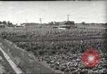 Immagine di Ford parsimonia Gardens Inkster Michigan USA, 1932, secondo 1 filmato di repertorio 65675066175