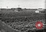 Immagine di Ford parsimonia Gardens Inkster Michigan USA, 1932, secondo 4 filmato di repertorio 65675066175