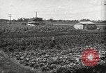 Immagine di Ford parsimonia Gardens Inkster Michigan USA, 1932, secondo 5 filmato di repertorio 65675066175