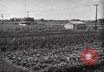 Immagine di Ford parsimonia Gardens Inkster Michigan USA, 1932, secondo 6 filmato di repertorio 65675066175