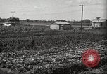 Immagine di Ford parsimonia Gardens Inkster Michigan USA, 1932, secondo 8 filmato di repertorio 65675066175