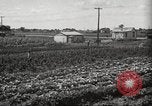 Immagine di Ford parsimonia Gardens Inkster Michigan USA, 1932, secondo 10 filmato di repertorio 65675066175