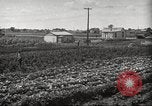 Immagine di Ford parsimonia Gardens Inkster Michigan USA, 1932, secondo 11 filmato di repertorio 65675066175