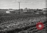 Immagine di Ford parsimonia Gardens Inkster Michigan USA, 1932, secondo 13 filmato di repertorio 65675066175
