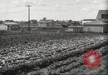 Immagine di Ford parsimonia Gardens Inkster Michigan USA, 1932, secondo 15 filmato di repertorio 65675066175