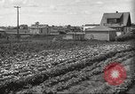 Immagine di Ford parsimonia Gardens Inkster Michigan USA, 1932, secondo 17 filmato di repertorio 65675066175