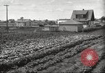Immagine di Ford parsimonia Gardens Inkster Michigan USA, 1932, secondo 18 filmato di repertorio 65675066175