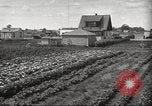Immagine di Ford parsimonia Gardens Inkster Michigan USA, 1932, secondo 20 filmato di repertorio 65675066175