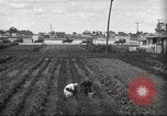 Immagine di Ford parsimonia Gardens Inkster Michigan USA, 1932, secondo 33 filmato di repertorio 65675066175