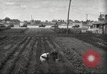 Immagine di Ford parsimonia Gardens Inkster Michigan USA, 1932, secondo 34 filmato di repertorio 65675066175