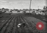 Immagine di Ford parsimonia Gardens Inkster Michigan USA, 1932, secondo 35 filmato di repertorio 65675066175