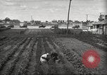 Immagine di Ford parsimonia Gardens Inkster Michigan USA, 1932, secondo 36 filmato di repertorio 65675066175