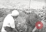 Immagine di Ford parsimonia Gardens Inkster Michigan USA, 1932, secondo 37 filmato di repertorio 65675066175