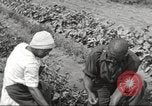 Immagine di Ford parsimonia Gardens Inkster Michigan USA, 1932, secondo 43 filmato di repertorio 65675066175
