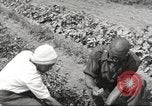 Immagine di Ford parsimonia Gardens Inkster Michigan USA, 1932, secondo 44 filmato di repertorio 65675066175