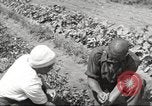 Immagine di Ford parsimonia Gardens Inkster Michigan USA, 1932, secondo 45 filmato di repertorio 65675066175
