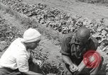 Immagine di Ford parsimonia Gardens Inkster Michigan USA, 1932, secondo 46 filmato di repertorio 65675066175